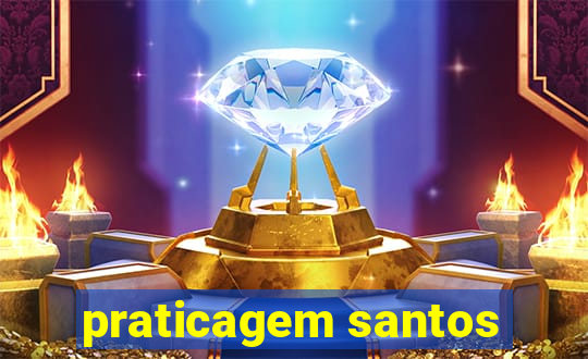 praticagem santos